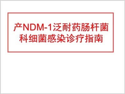 产NDM-1泛耐药肠杆菌科细菌感染诊疗指南.ppt