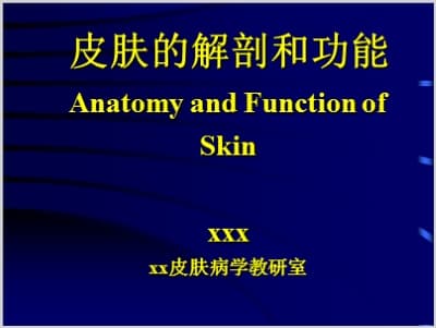 皮肤的解剖和功能讲课.ppt