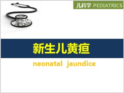 新生儿黄疸neonatal  jaundice.ppt