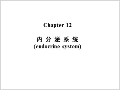 内分泌系统(endocrine system).ppt