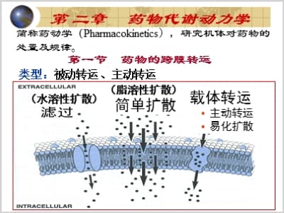第二章 药物代谢动力学（Pharmacokinetics）.ppt