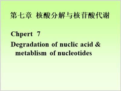 第七章 核酸分解与核苷酸代谢.ppt